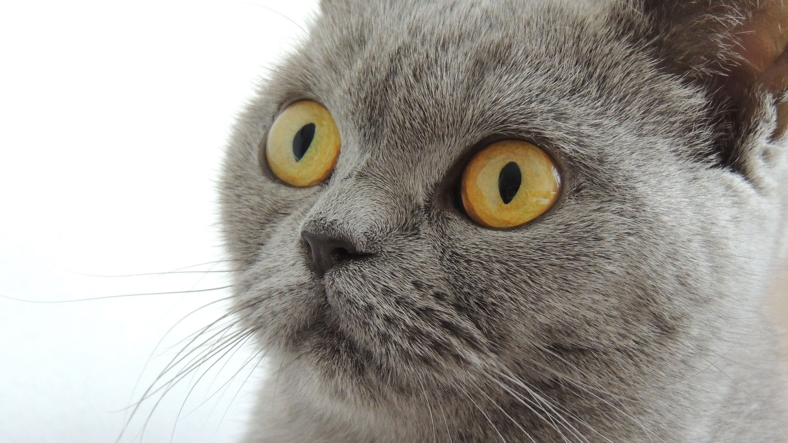 华体会在线下载-八年不亏！养老保险基金交出漂亮投资答卷，养老基金值得买吗